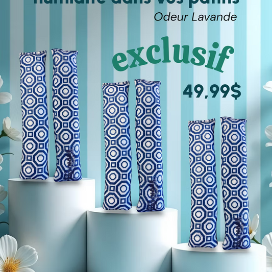 Sacs Anti-Odeur et Humidité (Lavande),