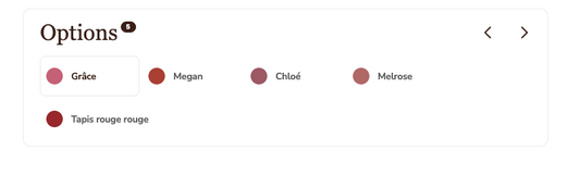 Rouge à lèvres mate / Matte Lip Stain